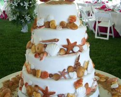 seashell-cake