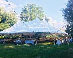 3-Backyard-Tent-Wedding-2