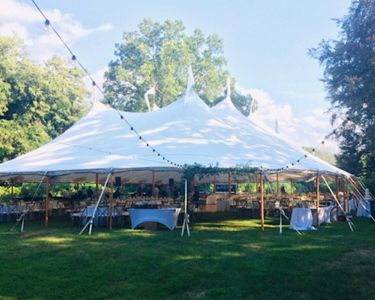 -Backyard-Tent-Wedding-2
