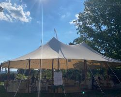 Backyard-Tent-Wedding