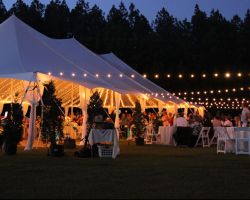 Frungillo-Off-Premise-evening-wedding-reception-tent-string-lighting-bistro-catering
