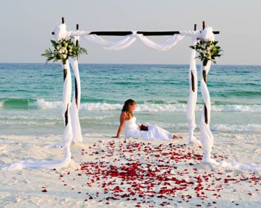 bride-sitting-on-beach-with-rose-petals