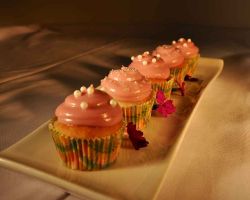 cupcakes-sprinkles-cusine