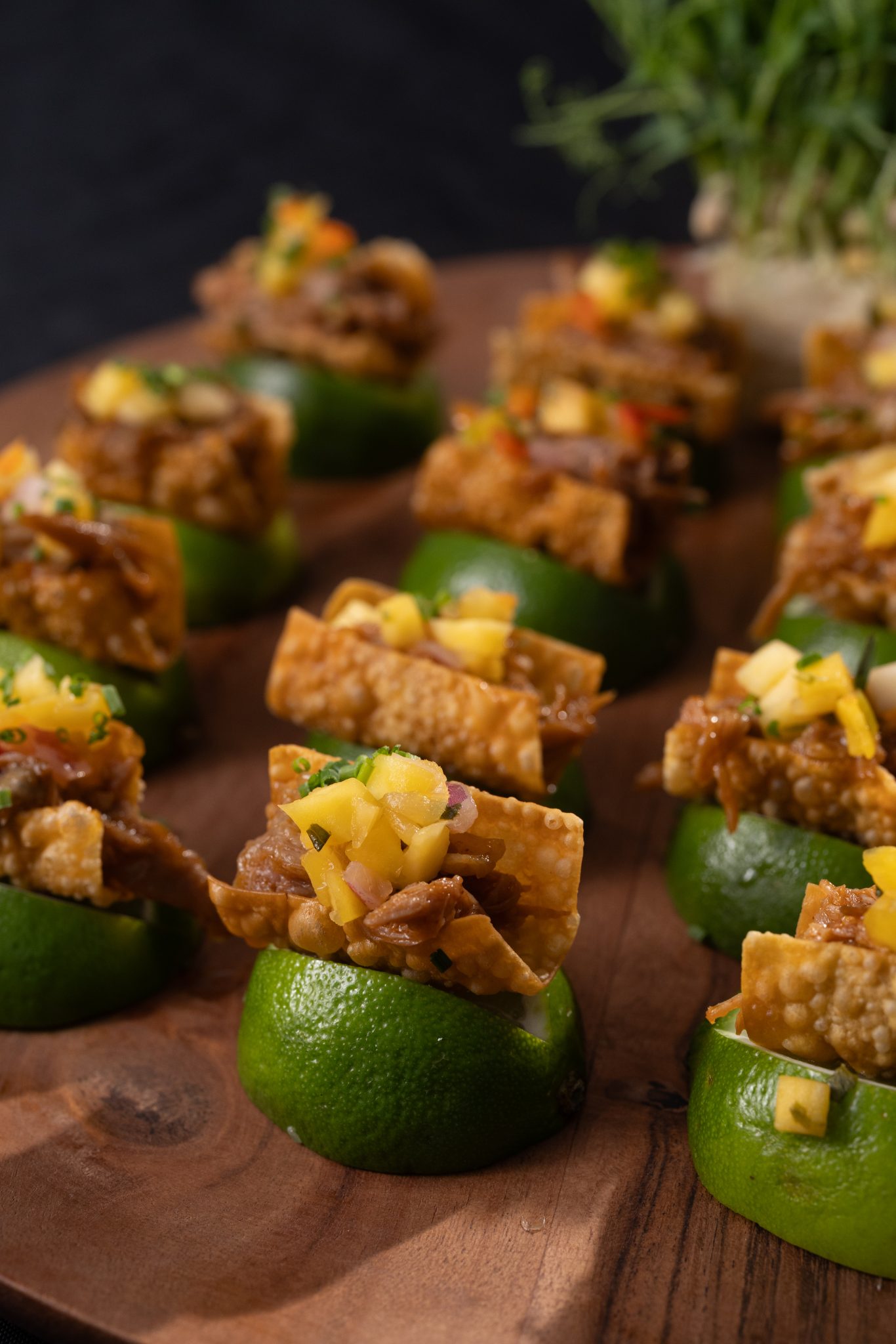 culinary-bbq duck wonton