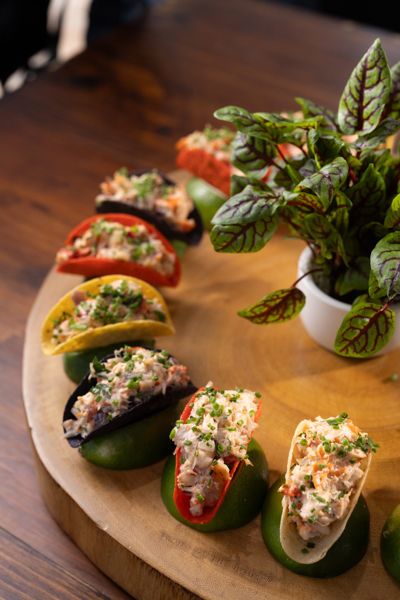 culinary-lobster tacos