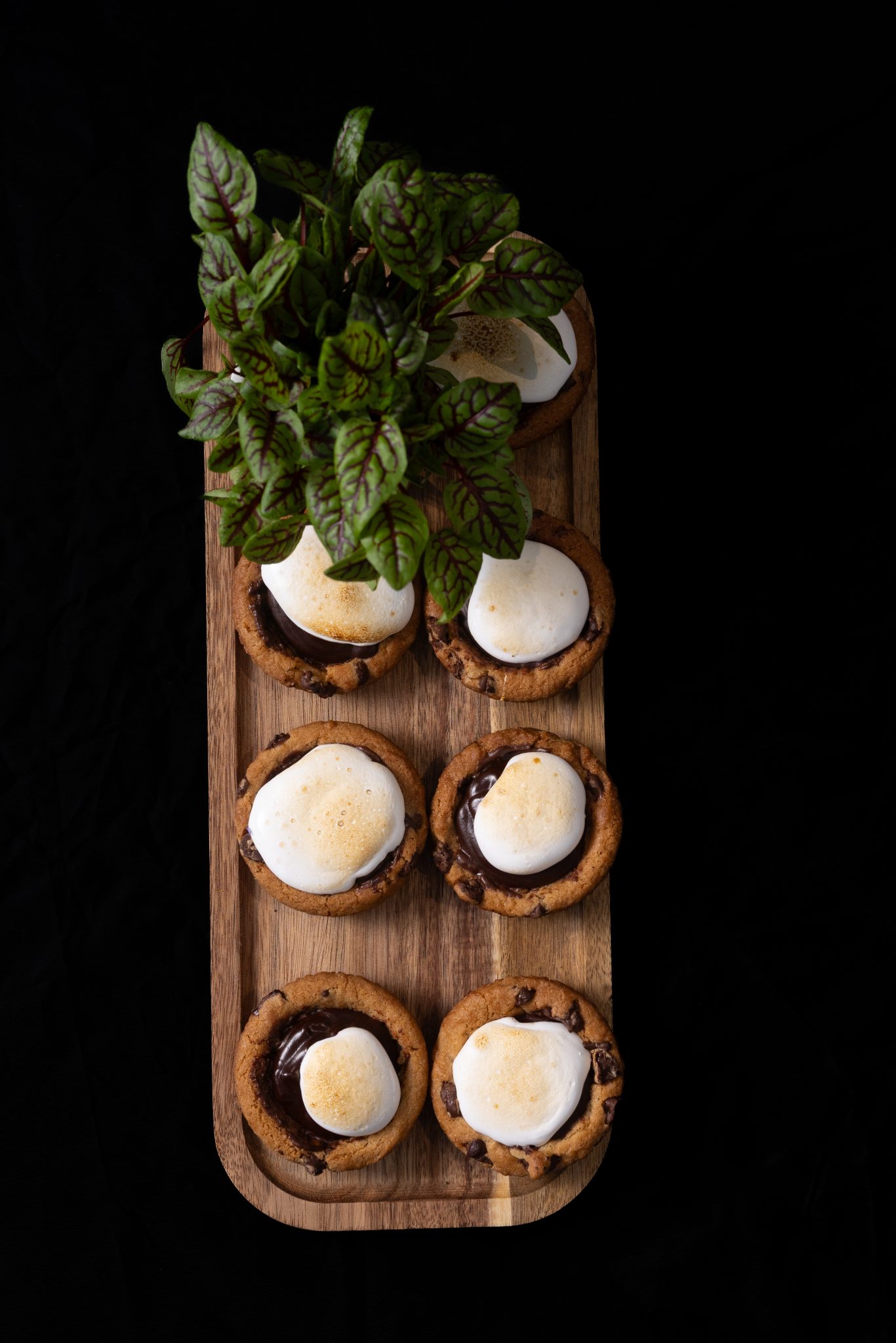 culinary-original cookie smores